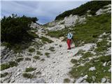 Planina Podvežak - Kocbekov dom na Korošici